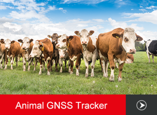 GNSS Animal 4G LTE GPS Trackers